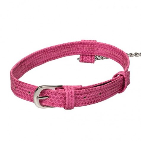 Розовый ошейник с поводком Tickle Me Pink Collar With Leash